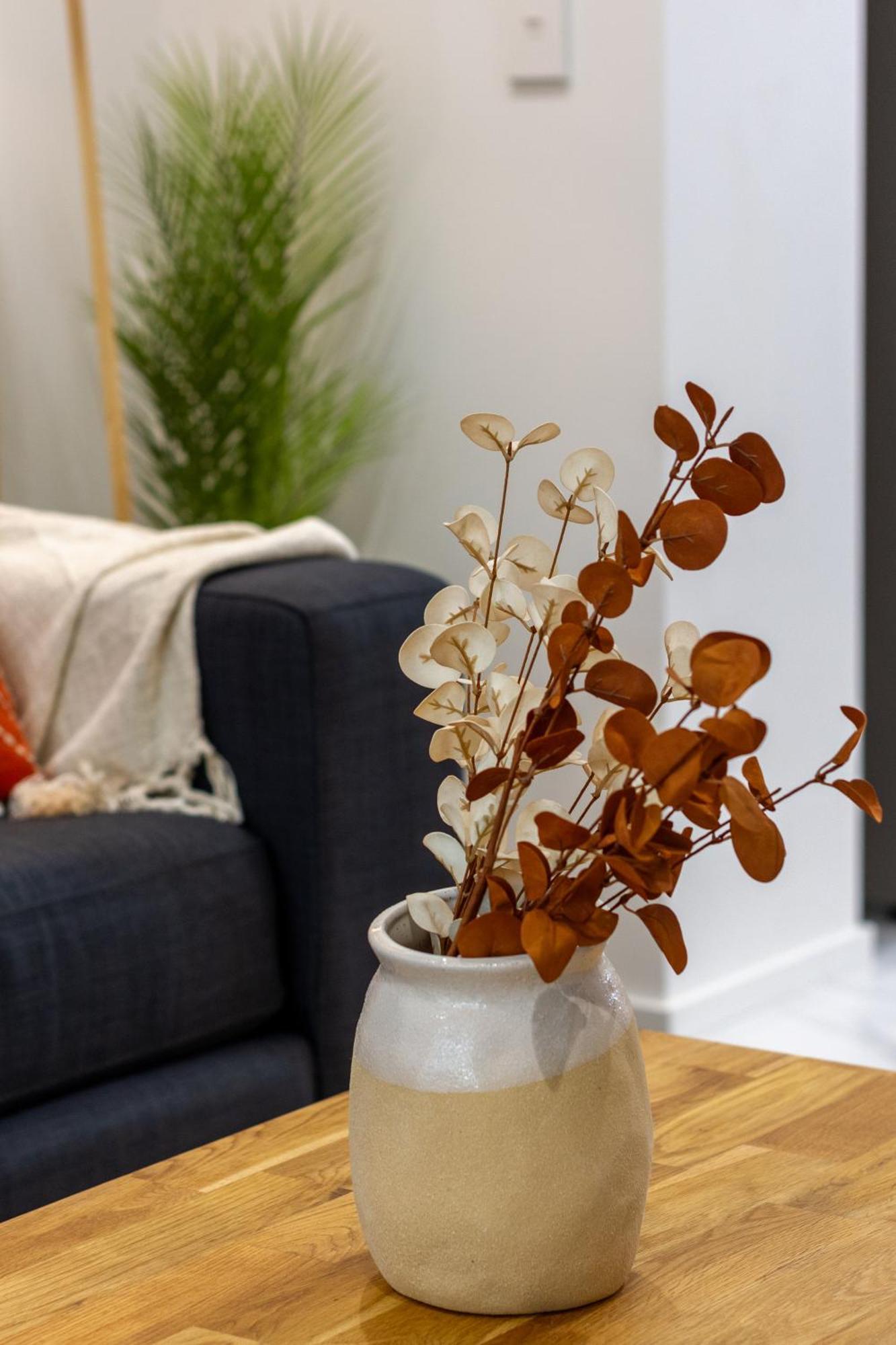Modern City Lifestyle: 2 Bedroom 1 Bath Christchurch Dış mekan fotoğraf